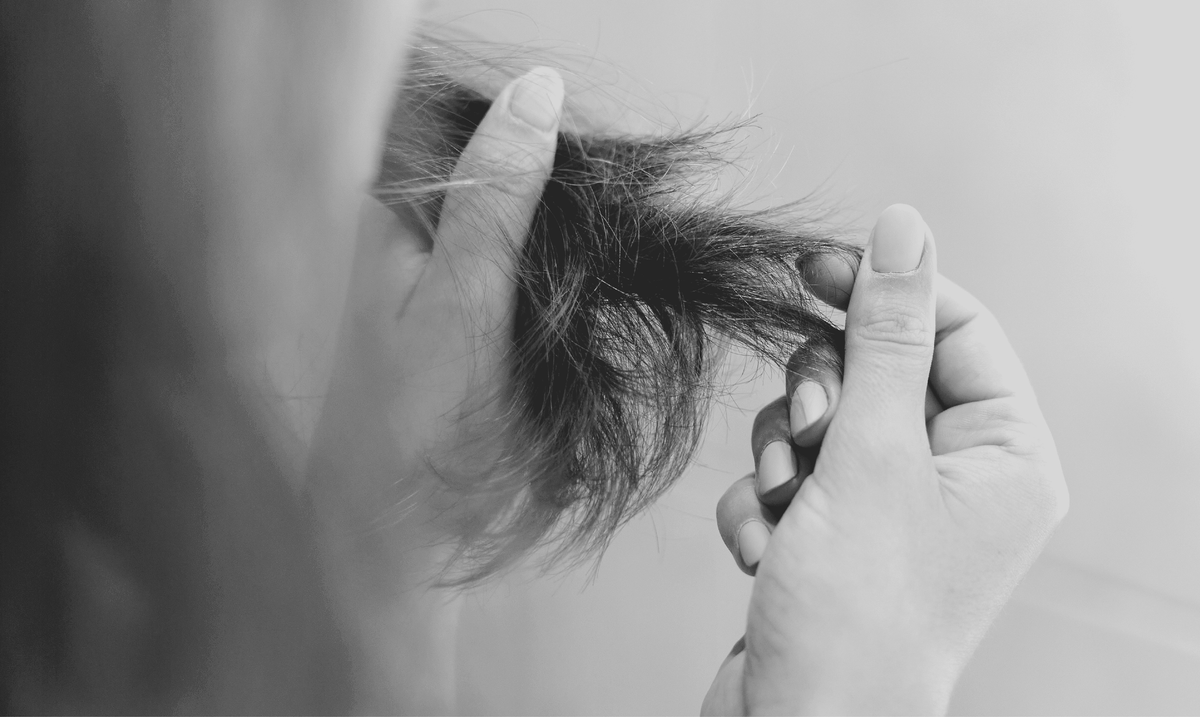 Say Goodbye To Split Ends A Guide To Damage Free Hair Iluvia