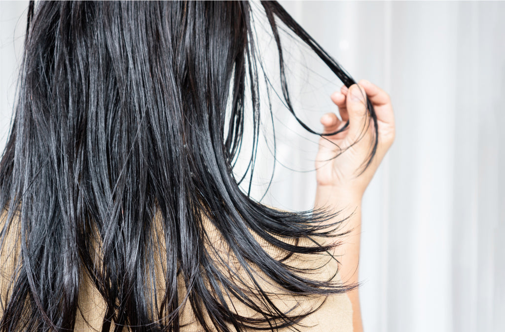 Oily Hair Guide: Hair Care Routine, Tips & More